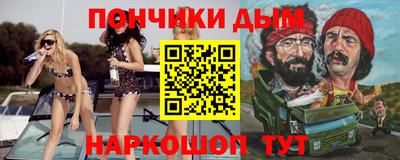индика Сланцы