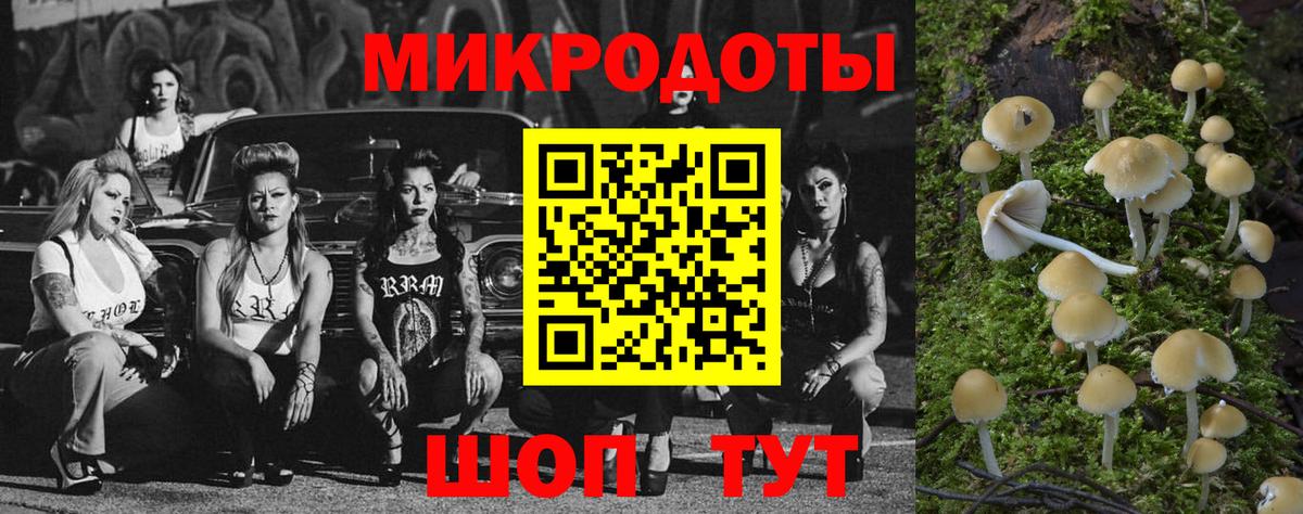 Галлюциногенные грибы Magic Shrooms Новороссийск